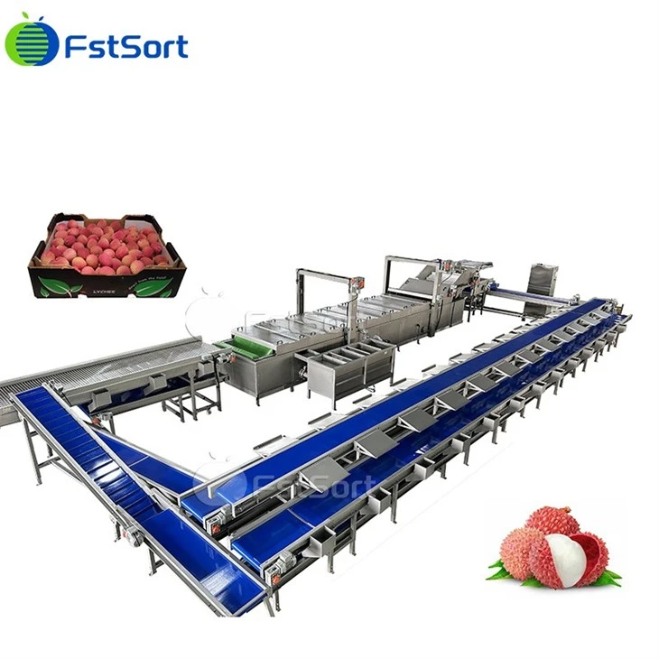 Lychee Cleaning Packaging Machine high quality