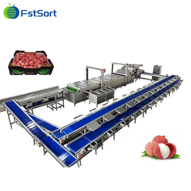 Lychee Nettoyage Emballage Machine