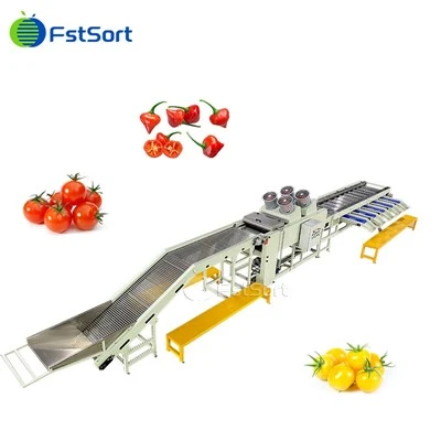 Fstsort Machine de traitement de poivre cherry de haute qualité Machine de classement des lujums